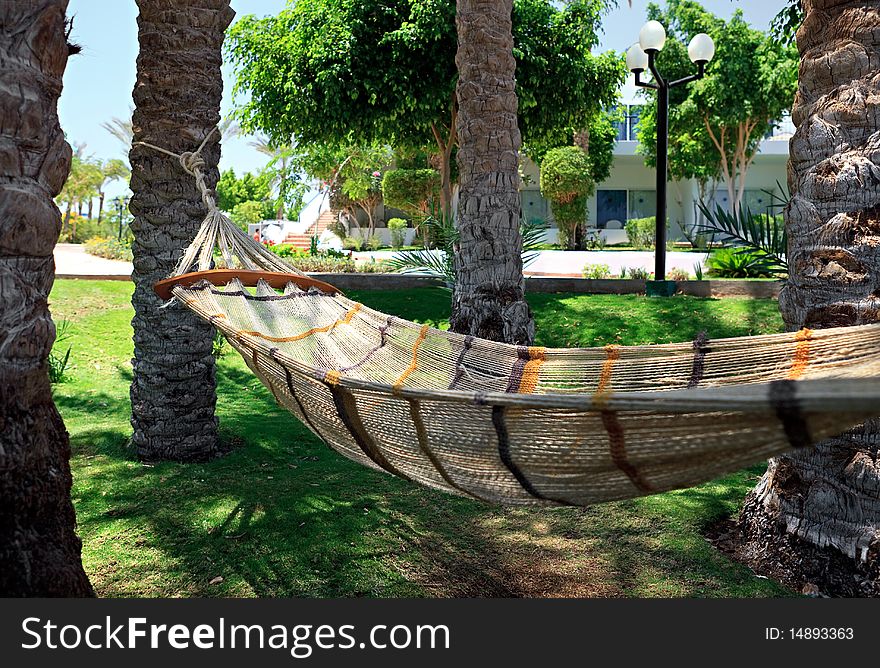 Hammock Under Palm Trees.