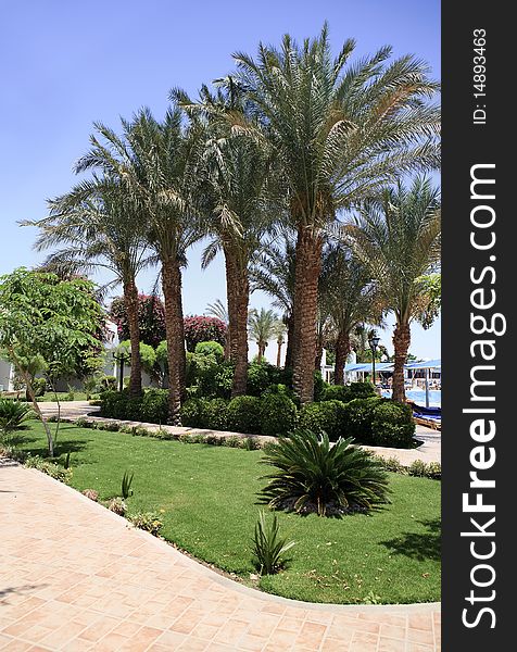 Sultan Garden Area hotel. Sharm El-sheikh. Egypt.