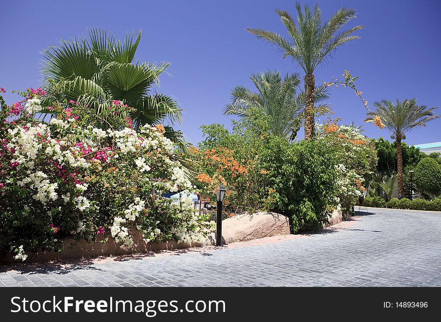 Sultan Garden Area hotel. Sharm El-sheikh. Egypt.