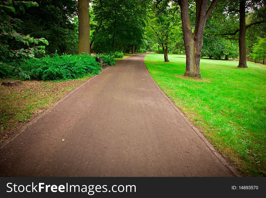 Park in spring time