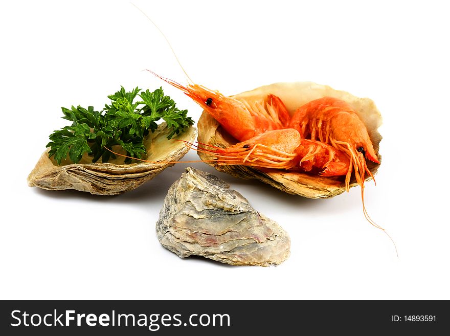 Prawns cooked in shell molluscs oysters on white isolated background. Prawns cooked in shell molluscs oysters on white isolated background