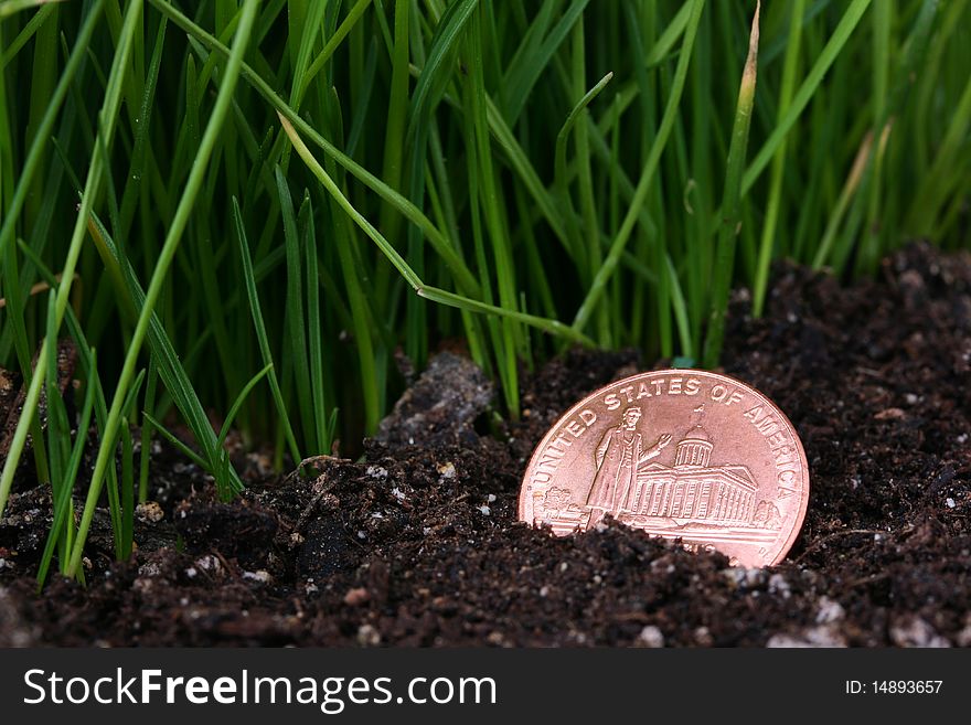 The lost coin in one cent against a grass.