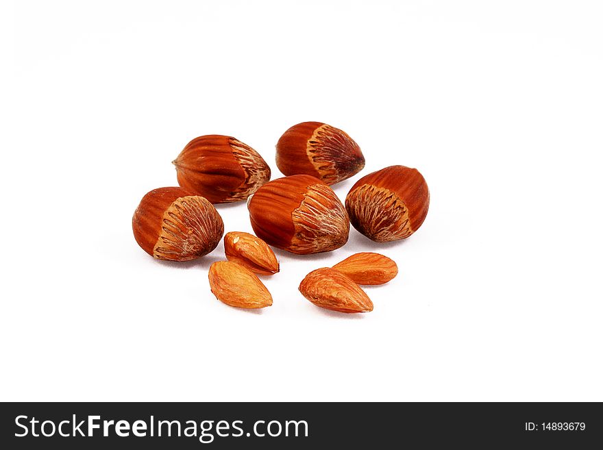 Hazelnuts hazelnuts on a secluded white. Hazelnuts hazelnuts on a secluded white