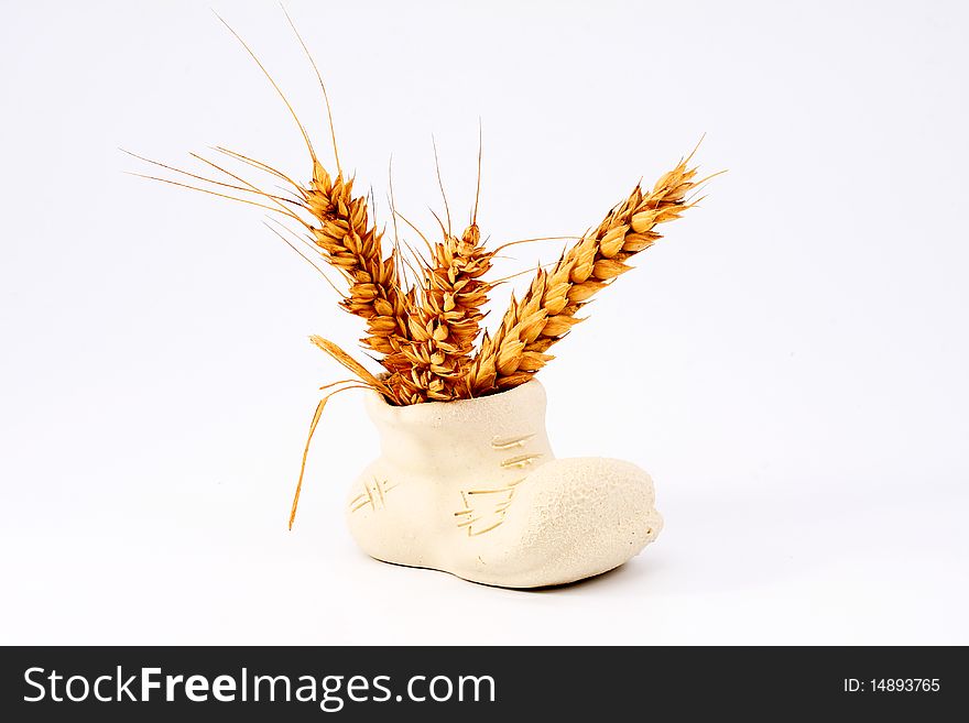 Ear of ripe wheat falling granule in ceramic white vase on an isolated white background