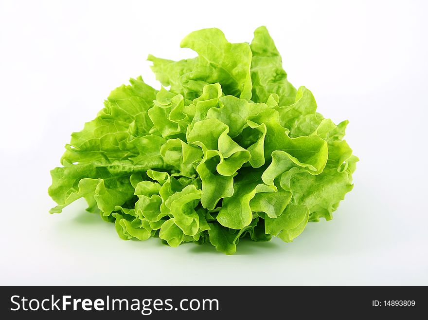 Lettuce green on an isolated white background. Lettuce green on an isolated white background