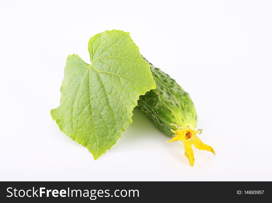 Cucumber with a leaflet for the white isolated background