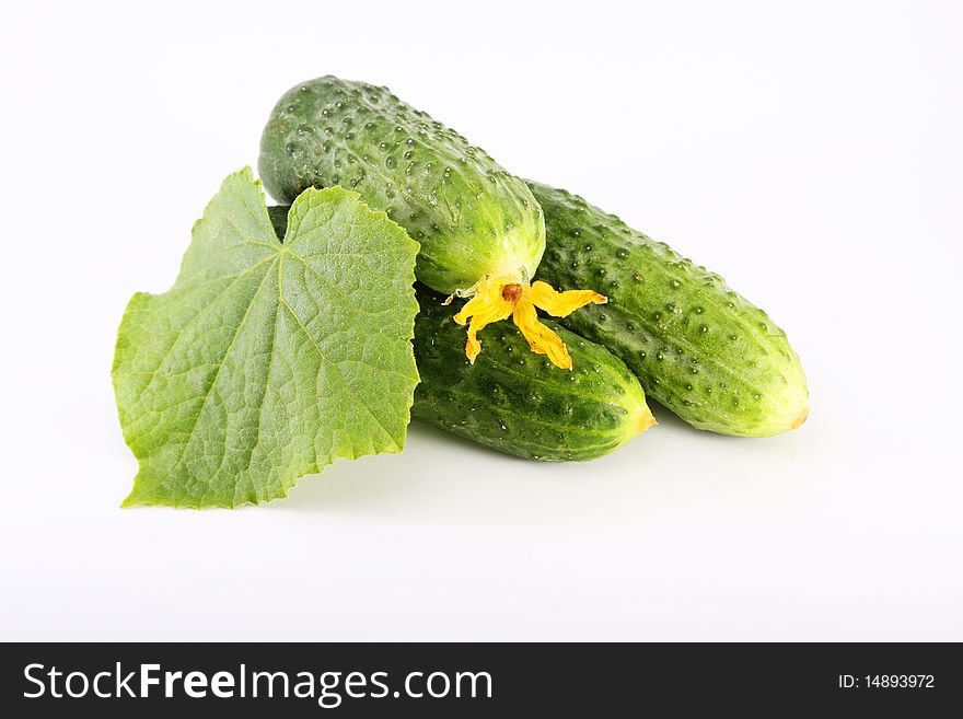 Cucumber with a leaflet for the white isolated background. Cucumber with a leaflet for the white isolated background
