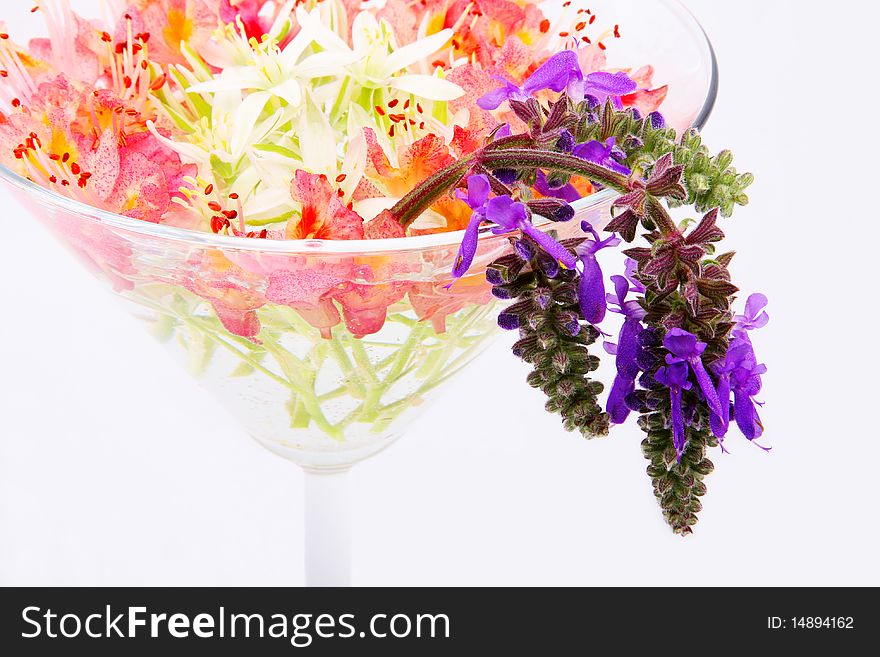 Flowers in a glass vase on a white background