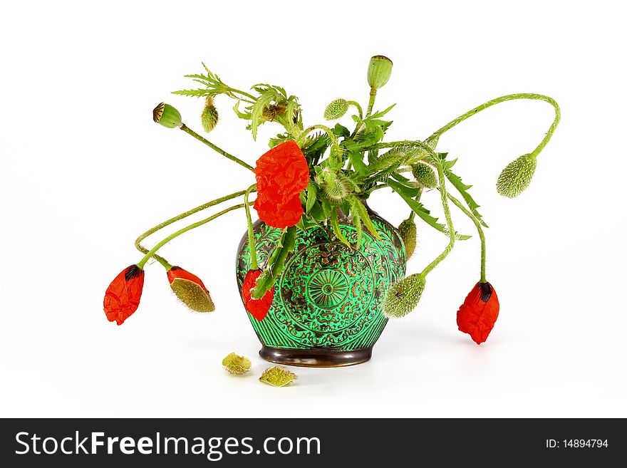 Flower Arrangement on a white background