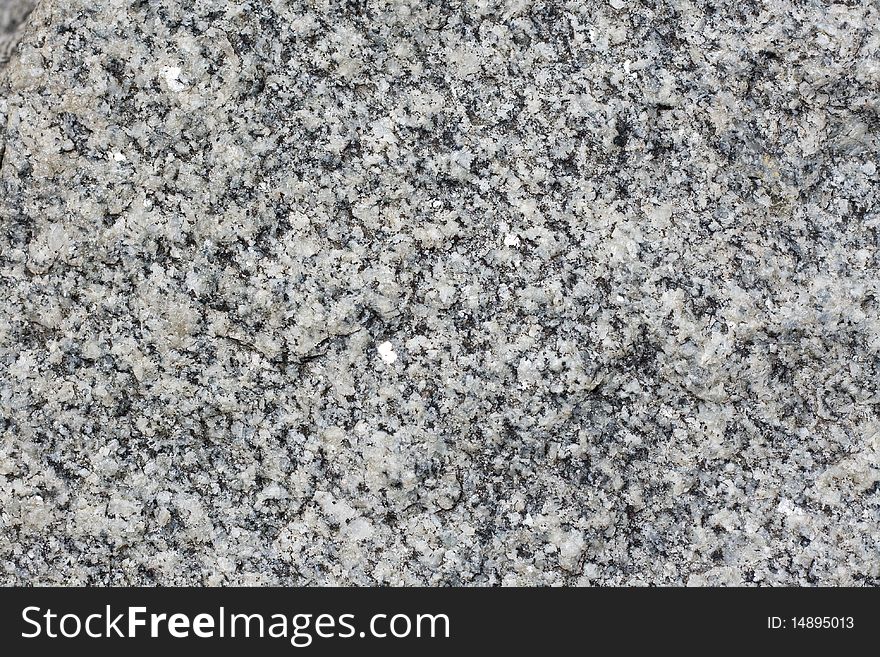 Grey granite by a large plan. Grey granite by a large plan