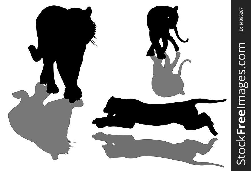 Outline Tigers in vector files for design