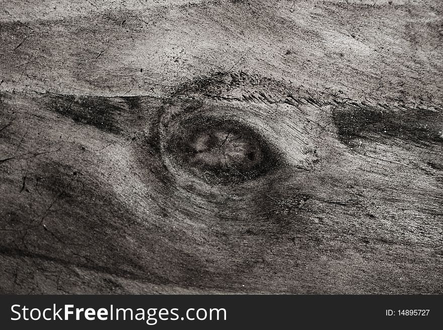 This photo shows a wood texture.