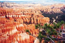 Amphitheater - Bryce Canyon Royalty Free Stock Photos Amphitheater - Bryce Canyon Royalty Free Stock Photos