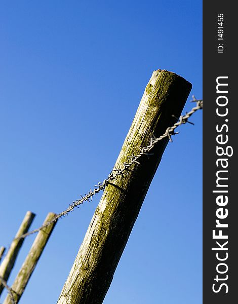 Barbed wire fence attached to wooden poles against blue sky