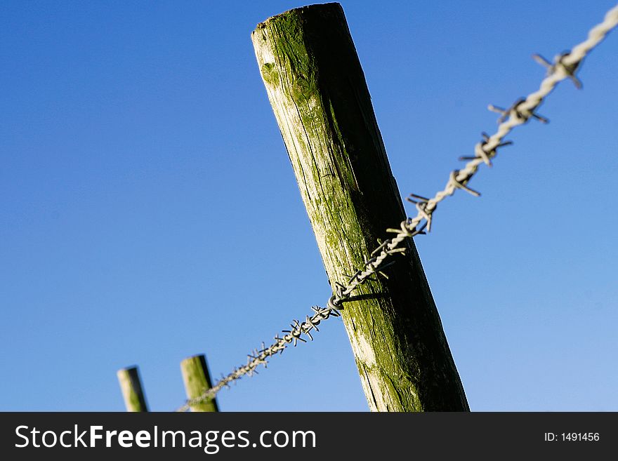 Barbed wire fence attached to wooden poles against blue sky