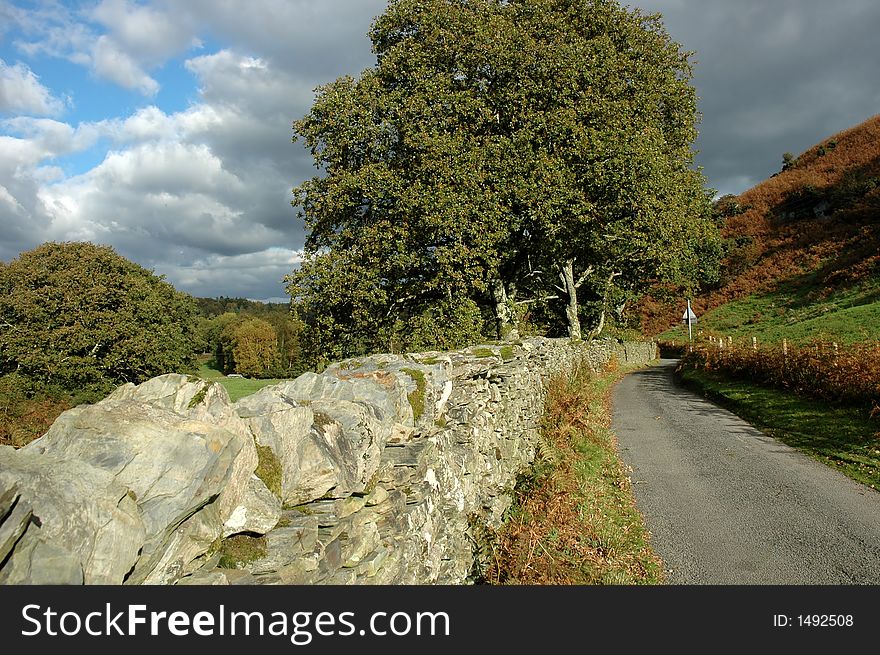 A country lane in rural wales.