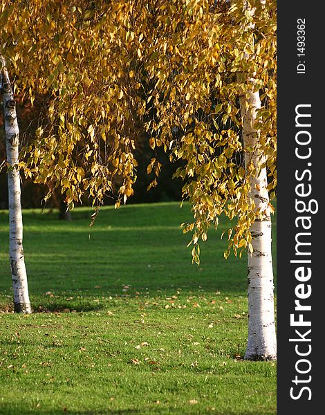 Autumn In Beckton Park London