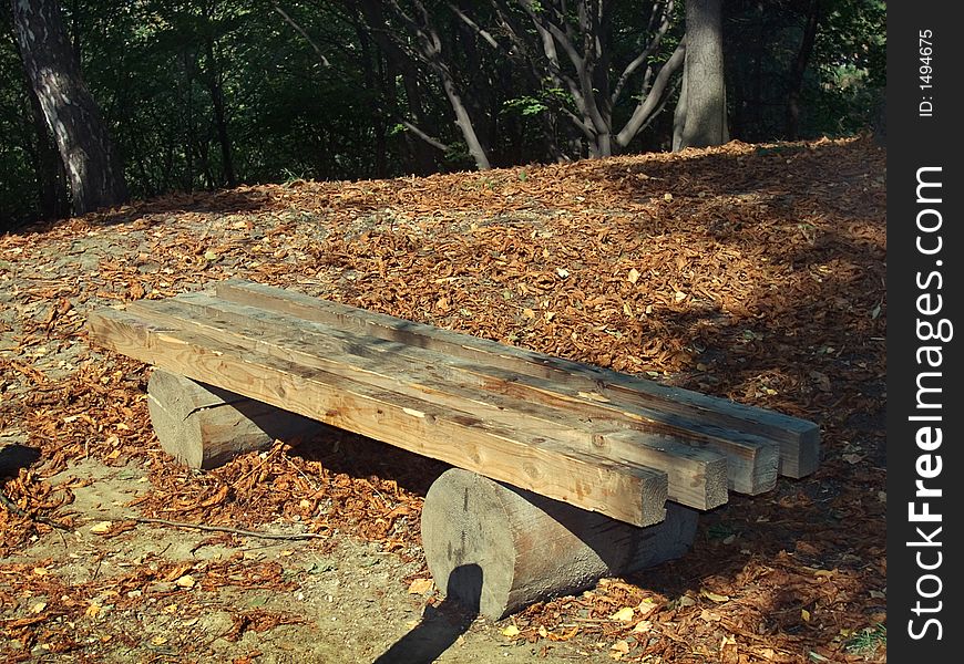 Wood bench on sun illuminate glade in the obscure autumn park
