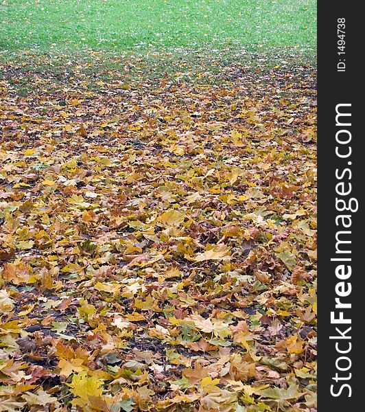 Ground surface of the autumnal park with yellow fall foliage on a forefront and green grass-plot behind (vertical). Ground surface of the autumnal park with yellow fall foliage on a forefront and green grass-plot behind (vertical)