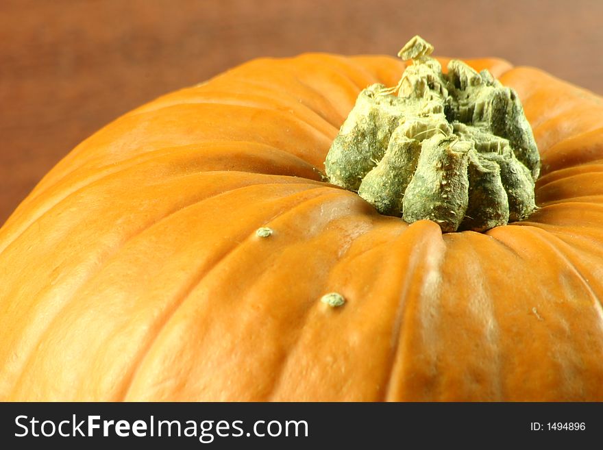 Macro shot of the top of a pumpkin