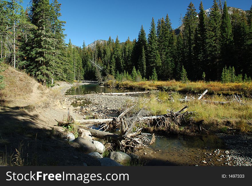 Stream in the high country in the fall of the year. Stream in the high country in the fall of the year