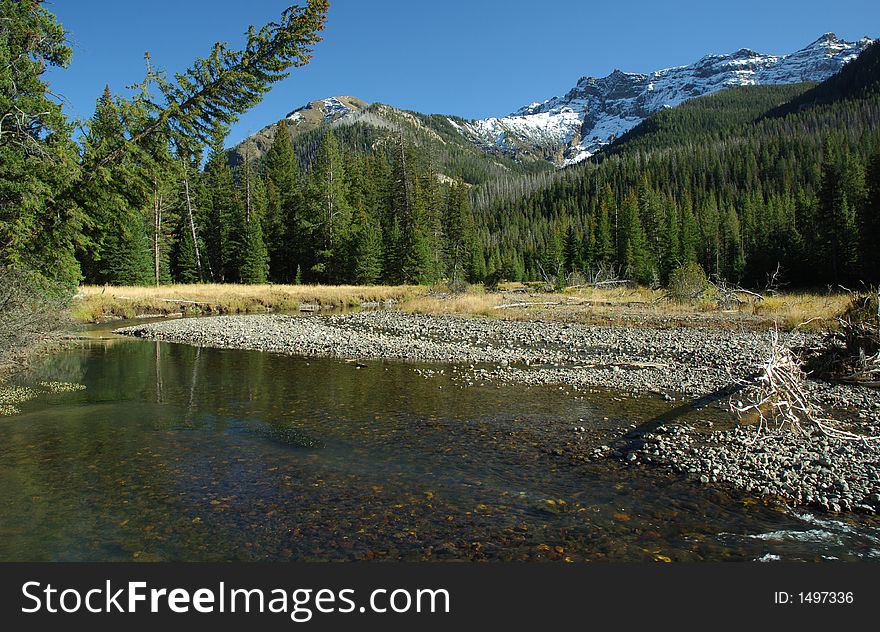 Stream in the high country in the fall of the year. Stream in the high country in the fall of the year