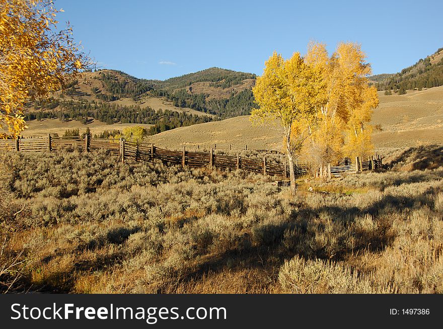 Beautiful Fall Colors