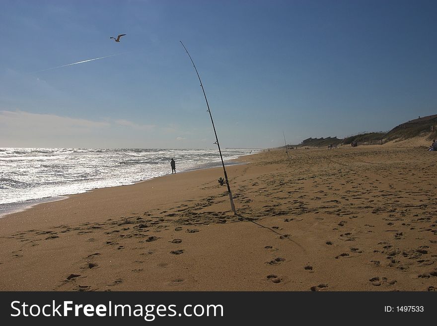 Fishing poles stuck in the sand on a windy beach. Fishing poles stuck in the sand on a windy beach