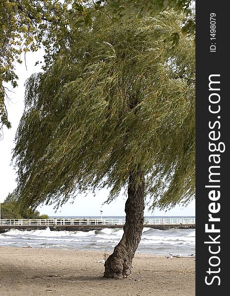 Choppy waves and windswept beach at the lakeshore in autumn. Choppy waves and windswept beach at the lakeshore in autumn.