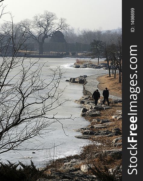 Winter scene at Beijing botanical garden, China.