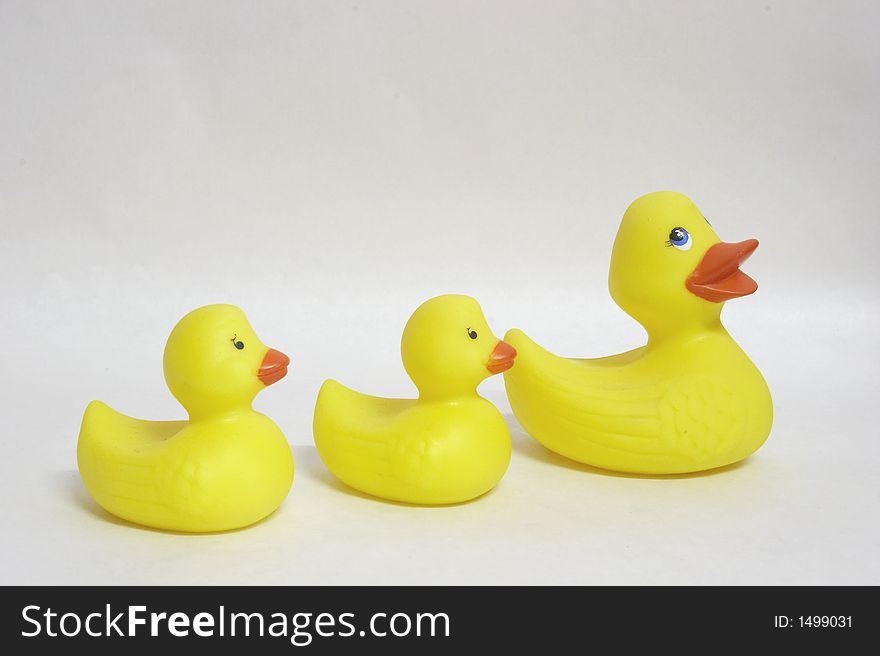 Rubber ducks on a white background