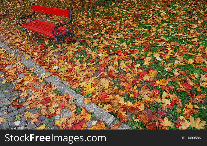 Red bench in autumn in the park