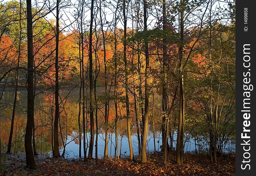 An Autumn view of a pond through the trees. An Autumn view of a pond through the trees.