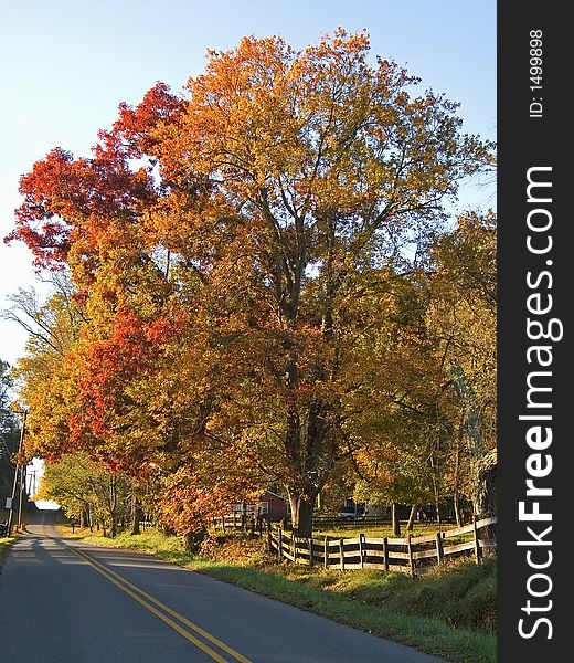 A view of a country road in a rural section of New Jersey during Autumn. A view of a country road in a rural section of New Jersey during Autumn.