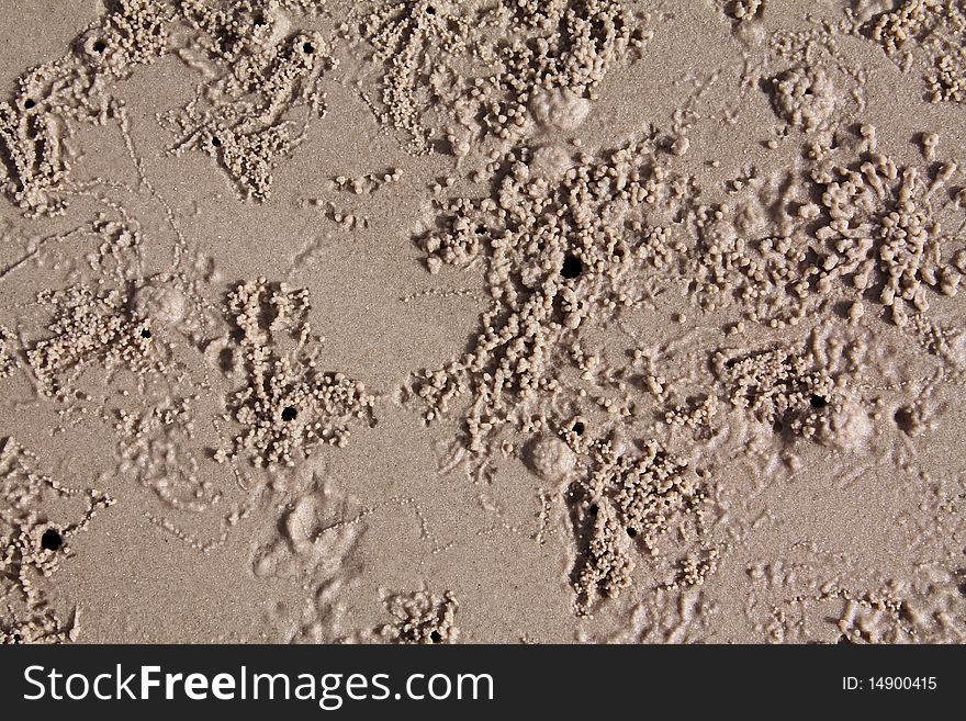 Sandy ground for beach background