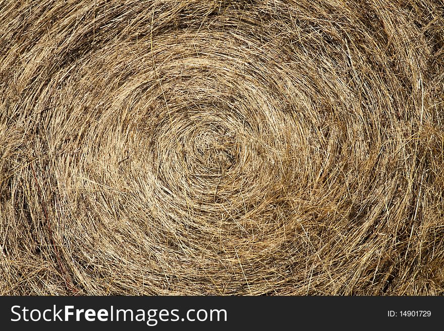 Round Hay Bale close up