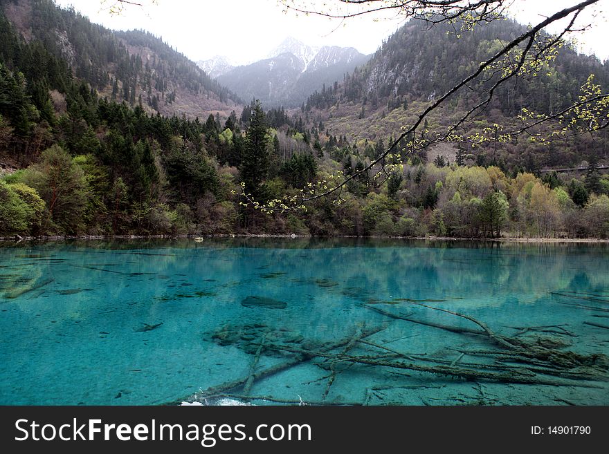 Mountain and a clear sparkling bright blue lake with submerged tree trunks clearly visible. Mountain and a clear sparkling bright blue lake with submerged tree trunks clearly visible