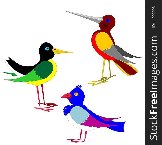 A set of three bright colorful optimistic birds