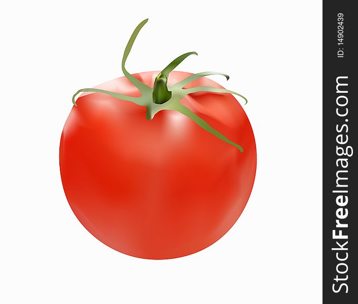 The Isolated Illustration Of A Tomato