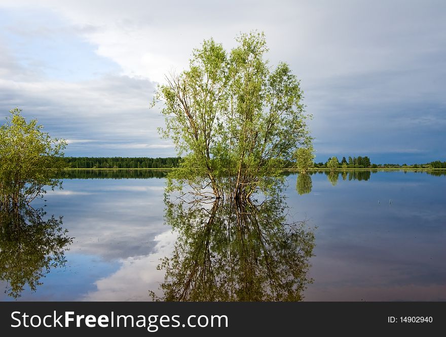 Bushes and trees, reflected in quiet water of lake. Panoramic wide view. Bushes and trees, reflected in quiet water of lake. Panoramic wide view.