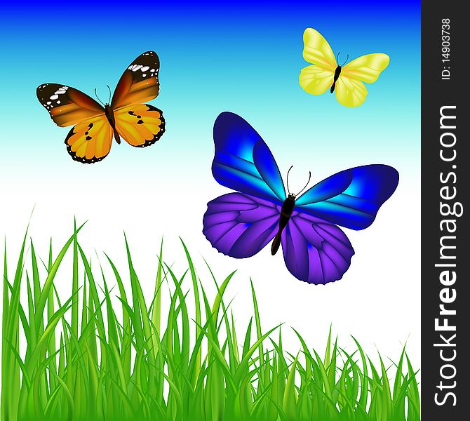 3 Backgrounds Of Green Grass And 9 Bunches Of Grass And 2 Butterflies, Isolated On White. 3 Backgrounds Of Green Grass And 9 Bunches Of Grass And 2 Butterflies, Isolated On White