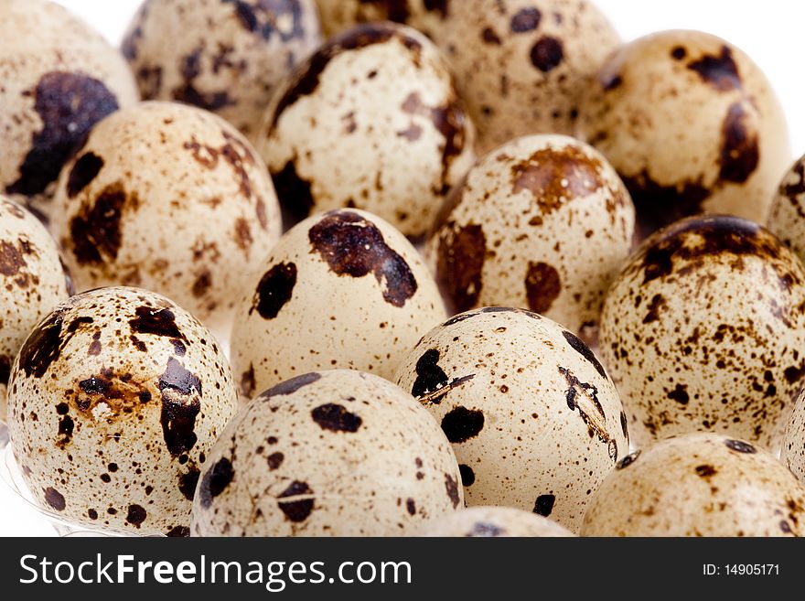 Quail egg