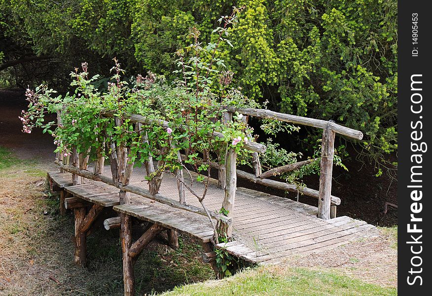 An English garden in Summer with rustic wooden footbridge covered in Roses. An English garden in Summer with rustic wooden footbridge covered in Roses