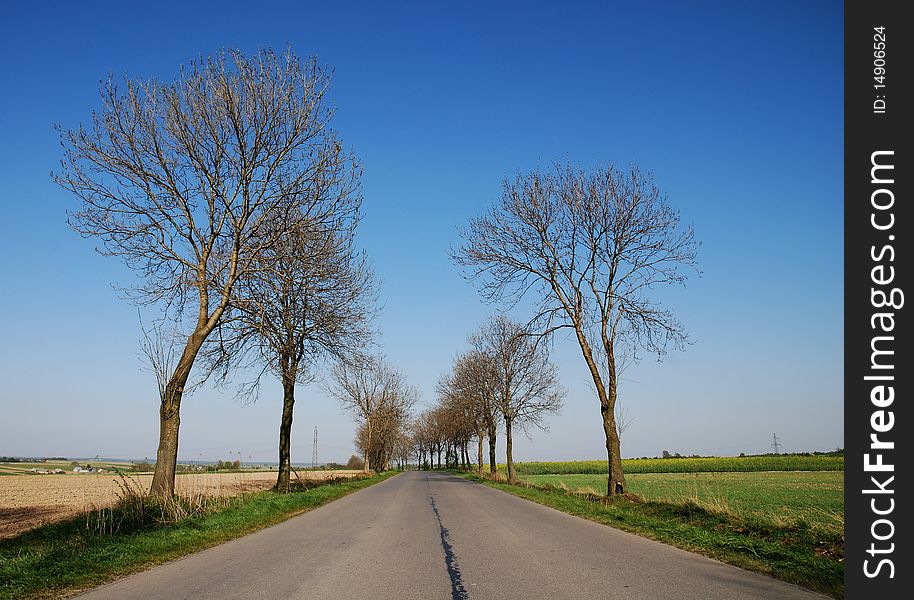 Countryside road at summer day. Countryside road at summer day