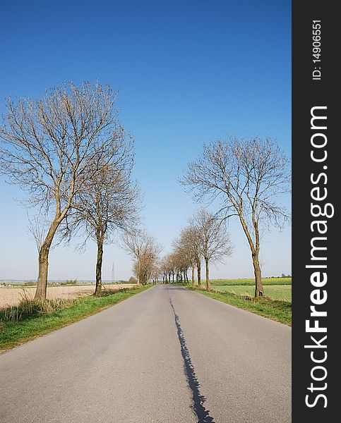 Countryside road at summer day. Countryside road at summer day