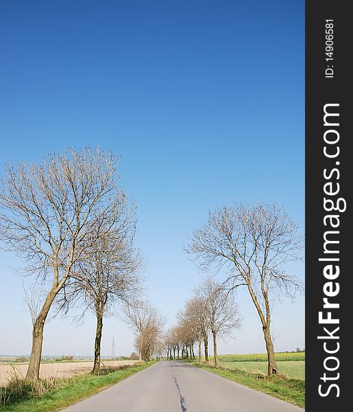 Countryside road at summer day. Countryside road at summer day