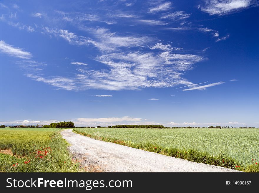 Landscape With Clouds And Trees