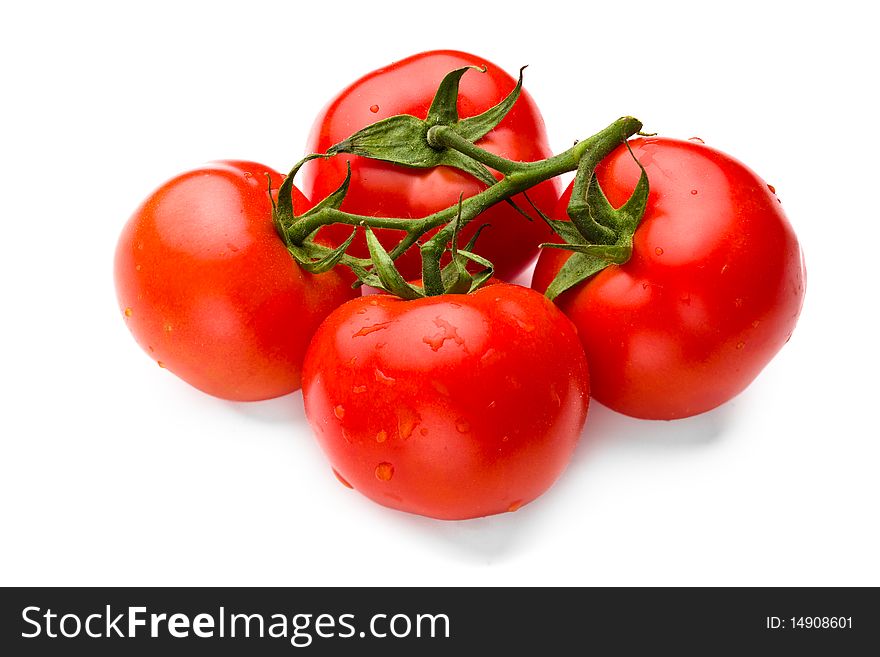 Juicy tomatoes isolated on white background