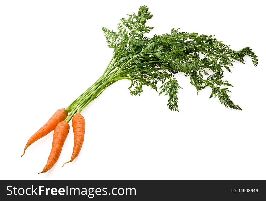 Fresh raw carrot on white background
