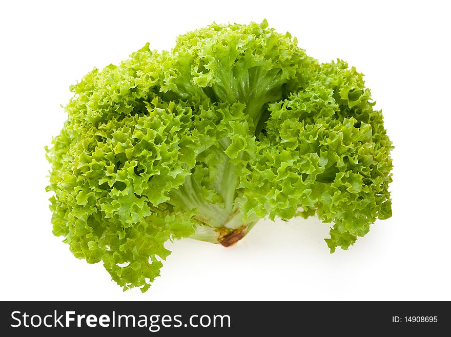Fresh green lettuce on white